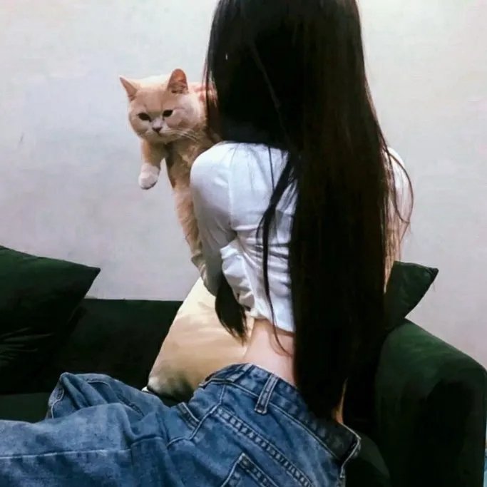 在这世界的角落